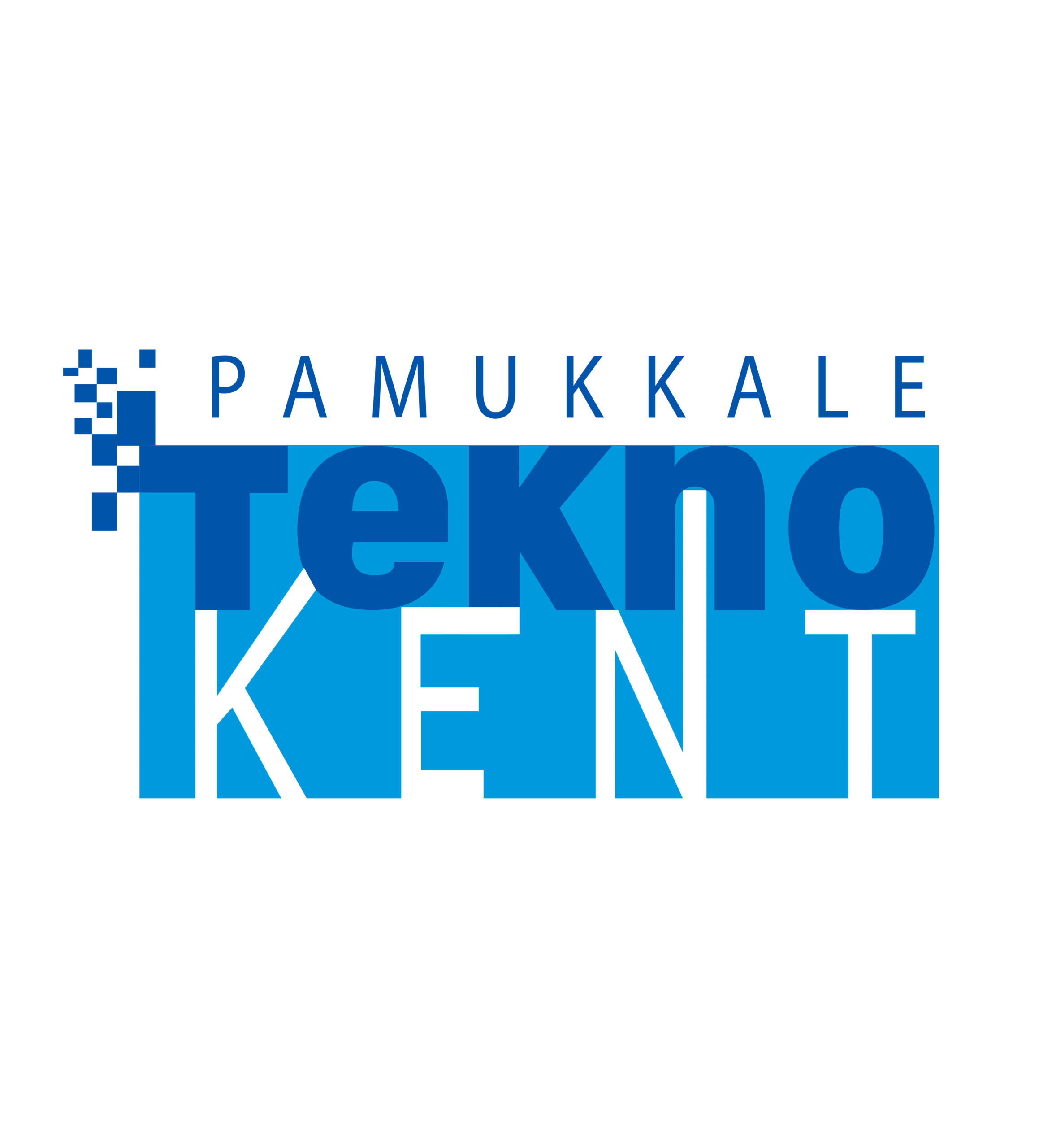 PAMUKKALE TEKNOKENT YÖNETİCİ A.Ş.